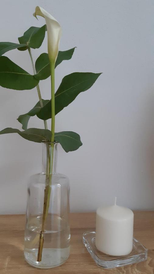 Sa Calla Manna 斯库索港 外观 照片