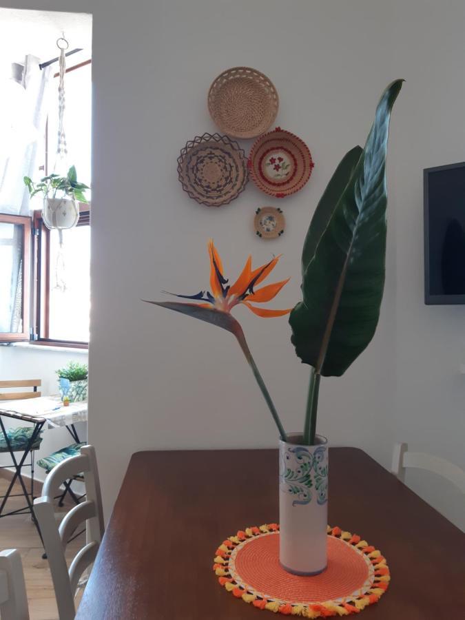 Sa Calla Manna 斯库索港 外观 照片