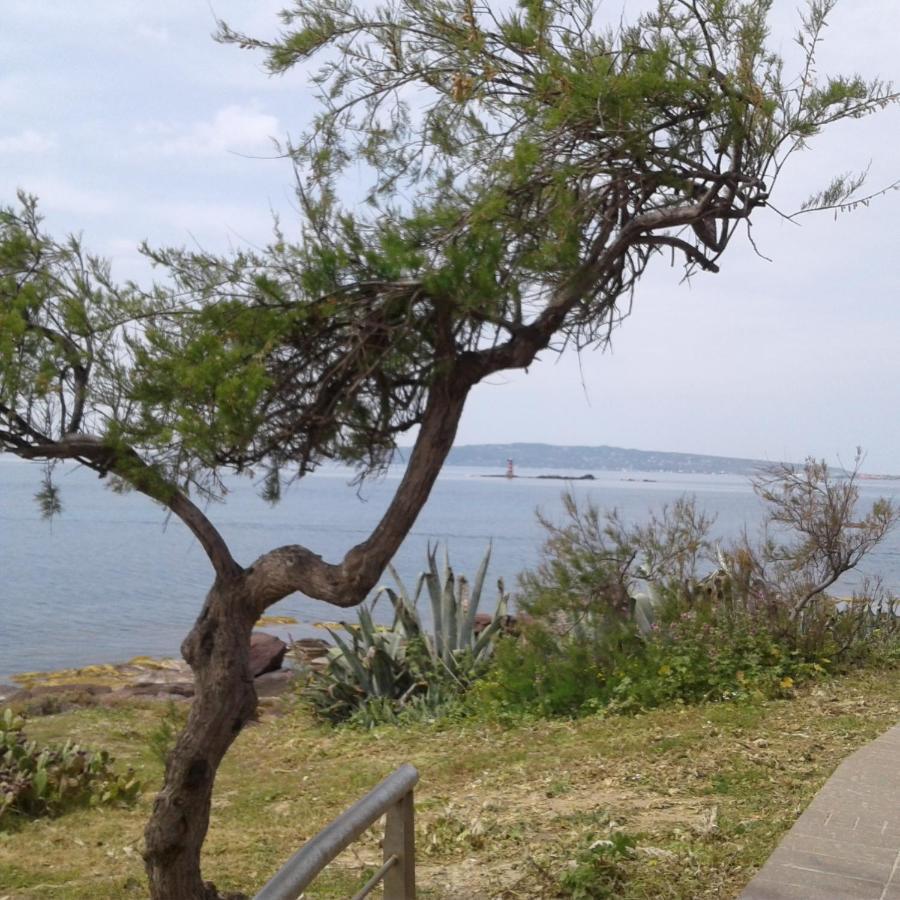 Sa Calla Manna 斯库索港 外观 照片